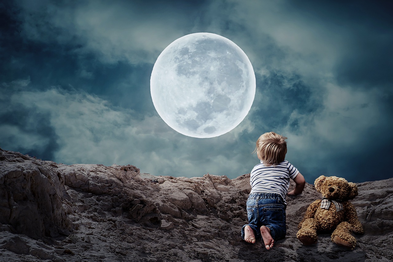 Siamo mai stati sulla Luna?