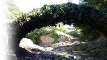 PASSEGGIATA STORICA ALLA SCOPERTA DEL PONTE SUL VALIANO