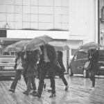 rain-2538448_1280