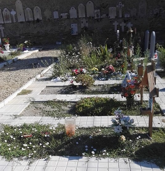 Multiservizi: Inaccettabili gli attacchi social ai nostri dipendenti per le erbacce ai cimiteri”