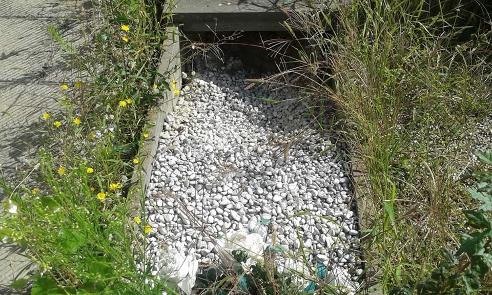 Degrado nei cimiteri del Comune: loculi e tombe in stato di abbandono