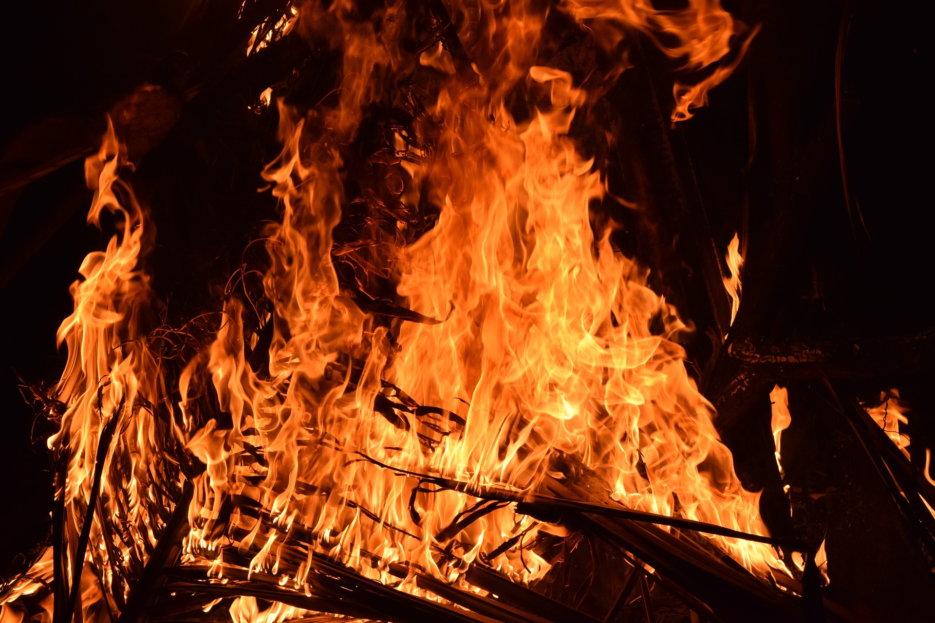 Incendi boschivi: vietato accendere fuochi fino al 25 settembre 
