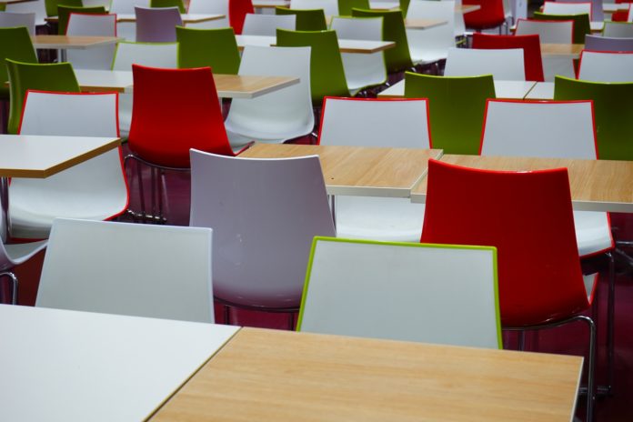 Scuole primarie e dell’infanzia: previsti investimenti sulle cucine per migliorare sicurezza e qualità del cibo Scuole primarie e dell’infanzia: previsti investimenti sulle cucine per migliorare sicurezza e qualità del cibo