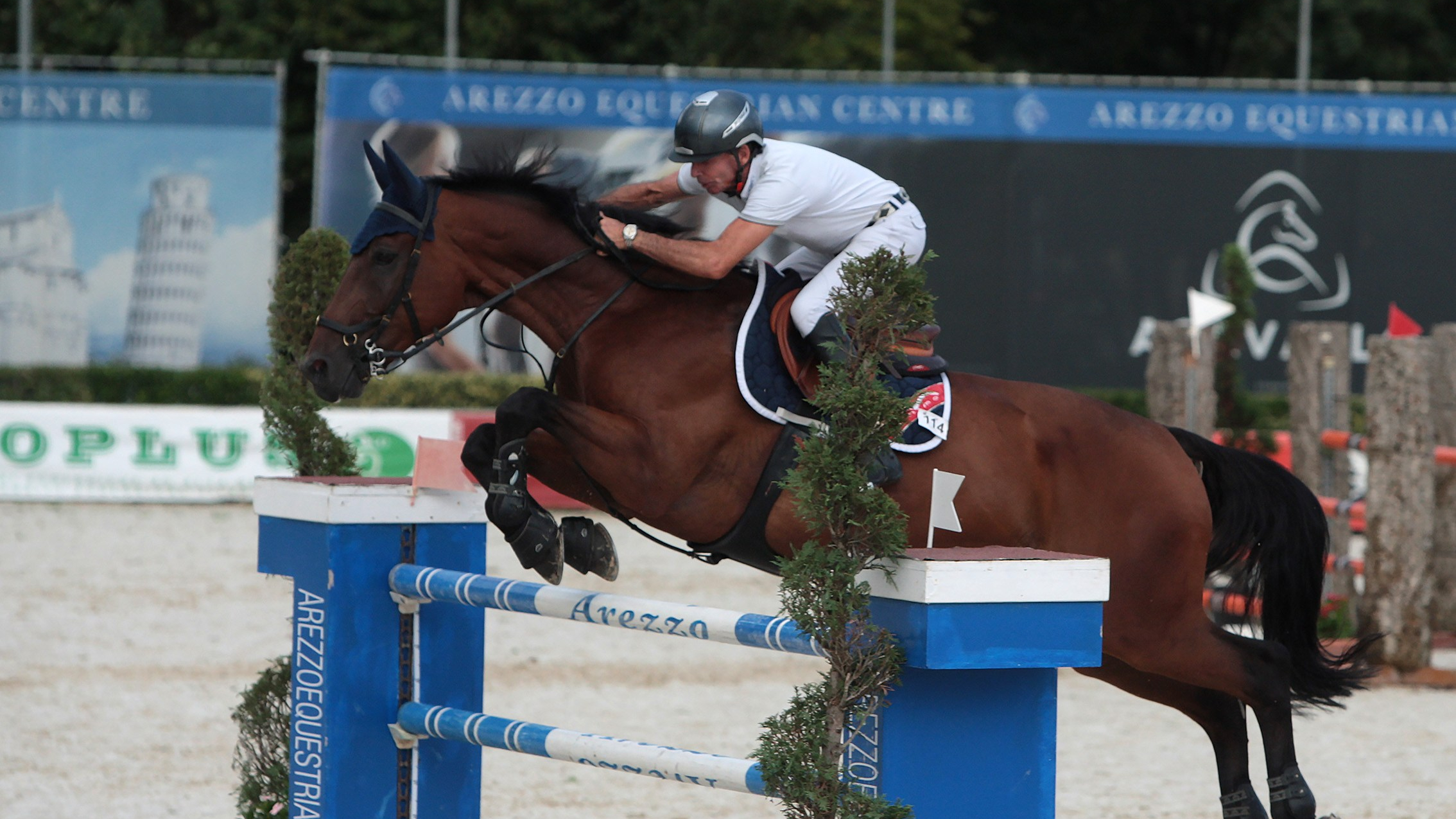 Arezzo Equestrian Centre: si è svolto l’importante circuito Talent Show Jumping 2019