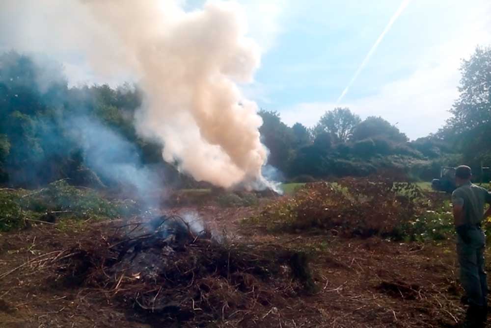 Rischio alto di incendi: nei Comuni Montani del Casentino scatta il divieto di abbruciamento