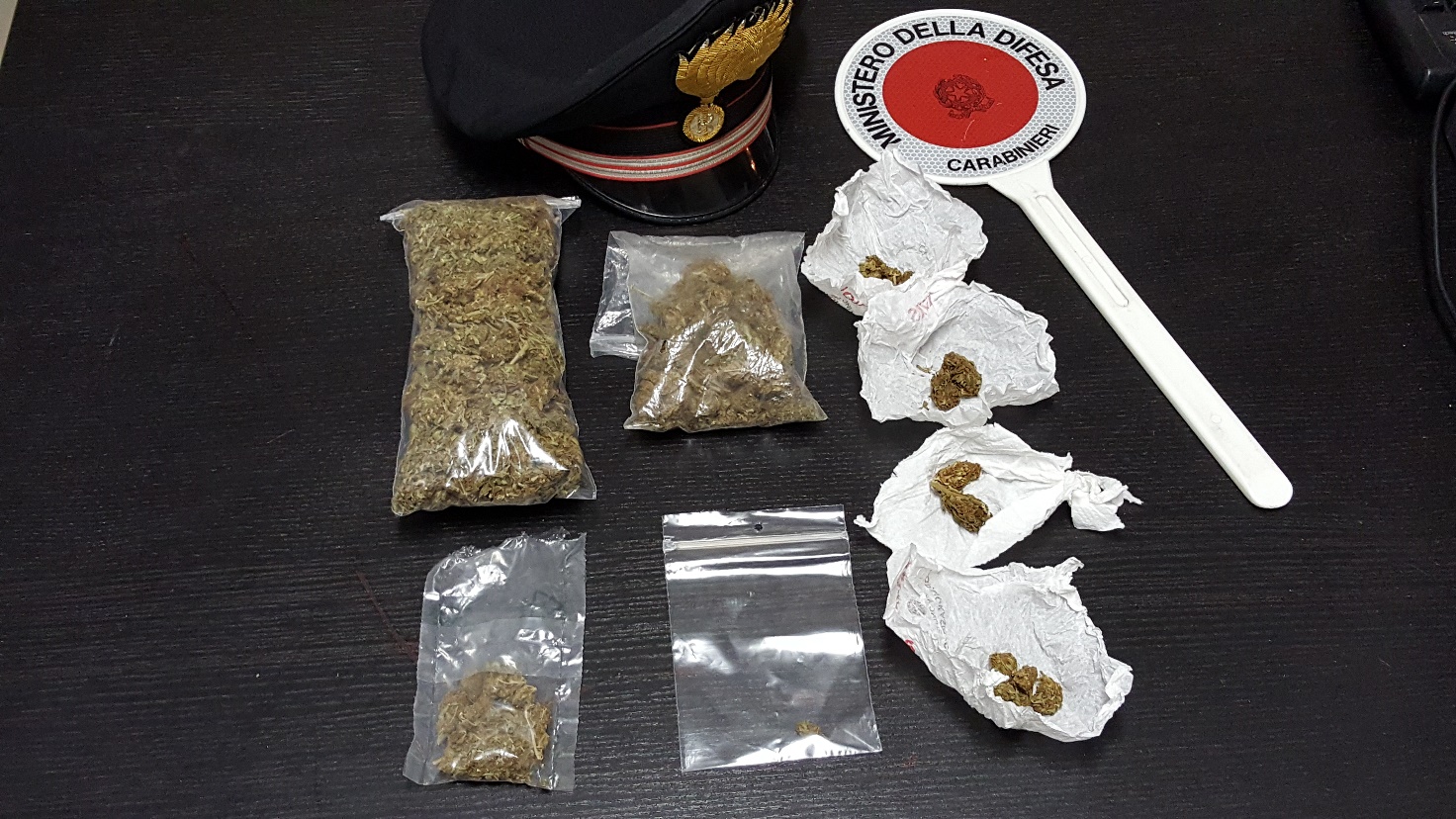 Irruzione dei carabinieri in un bar con il cane antidroga Csita, stroncato giro di spaccio