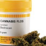 Cannabis 1