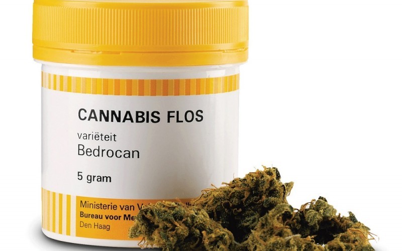 Aumenta la distribuzione di cannabis terapeutica