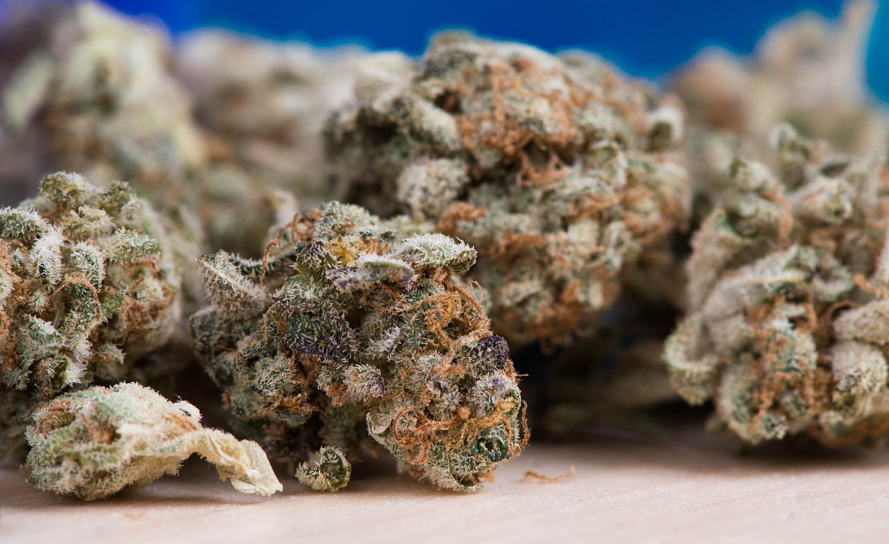 Cannabis 2.jpg