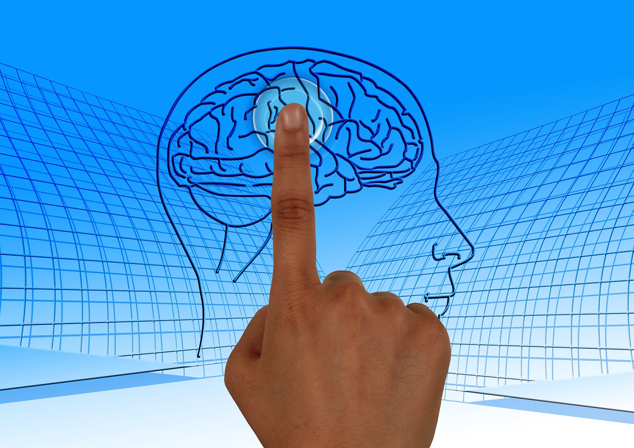 Il cervello obeso