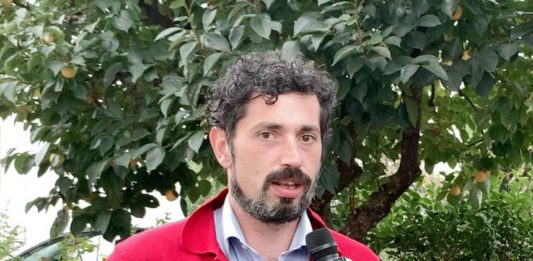 Donato Caporali