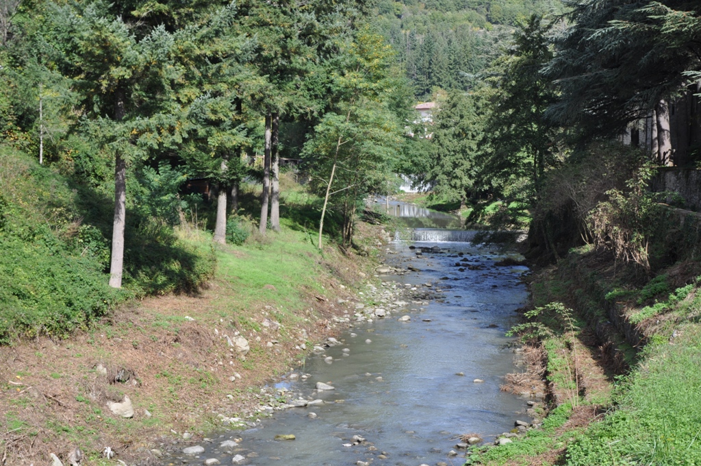 PuliAMO il fiume, iniziativa sabato a Pratovecchio