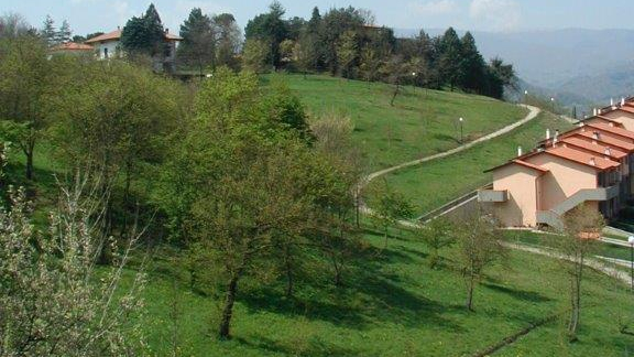 Il bosco “urbano” di Bibbiena verso la riqualificazione grazie alla collaborazione tra Comune e Parco Nazionale