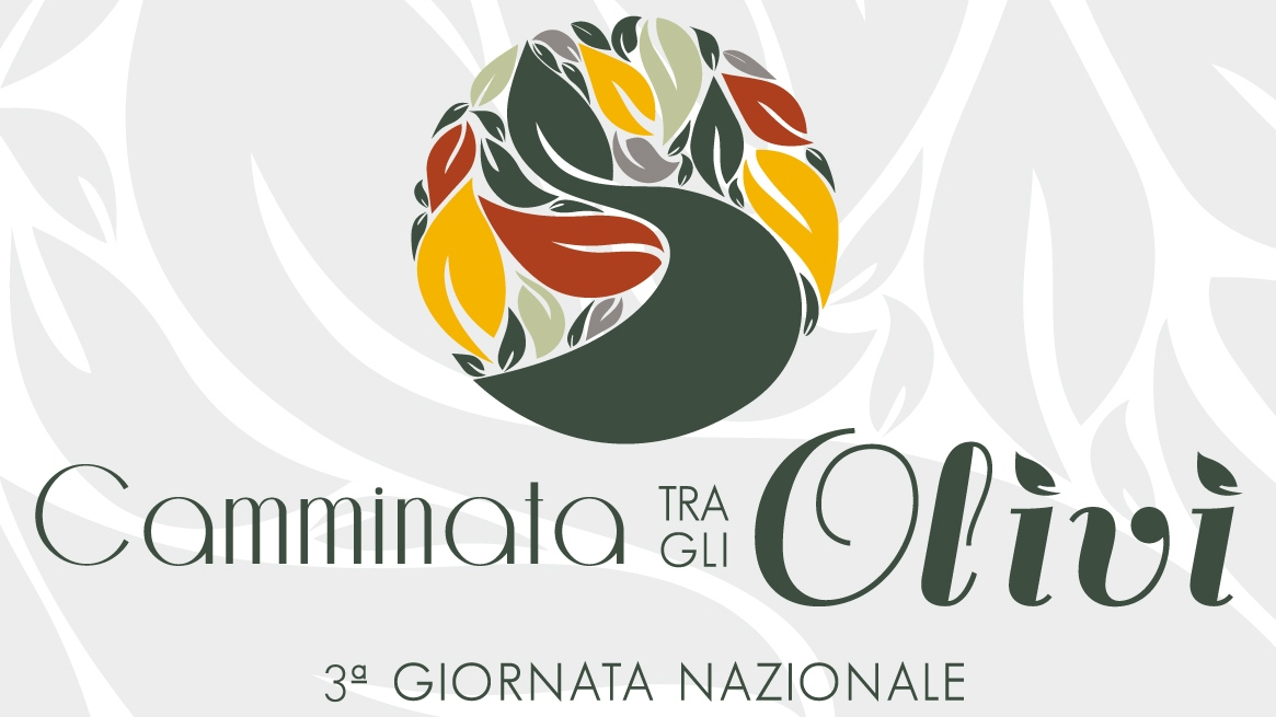 Camminata tra gli Olivi