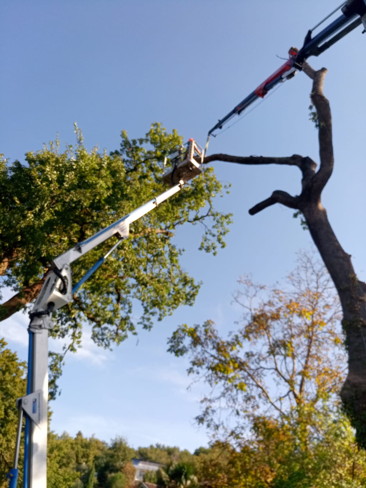 Consorzio di bonifica, continua la messa in sicurezza del Vingone