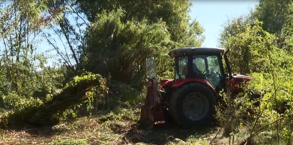 Tutti gli interventi per la sicurezza sull’Arno