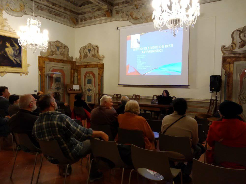 Sansepolcro: ciclo di incontri “Gli animali nella storia dell’uomo – le ossa raccontano”