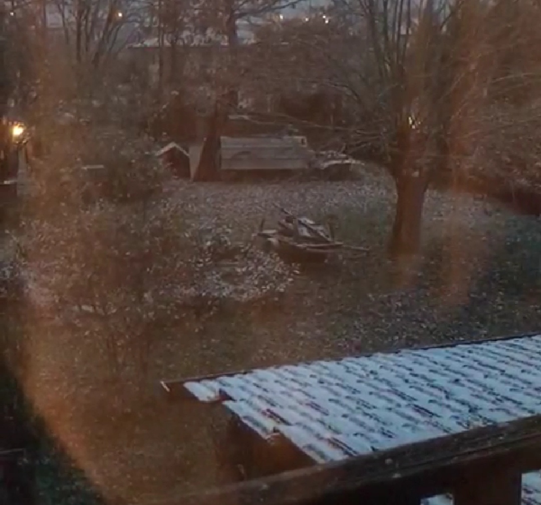 La neve è arrivata, primi fiocchi in Casentino VIDEO