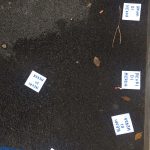 Odio Raziale_2