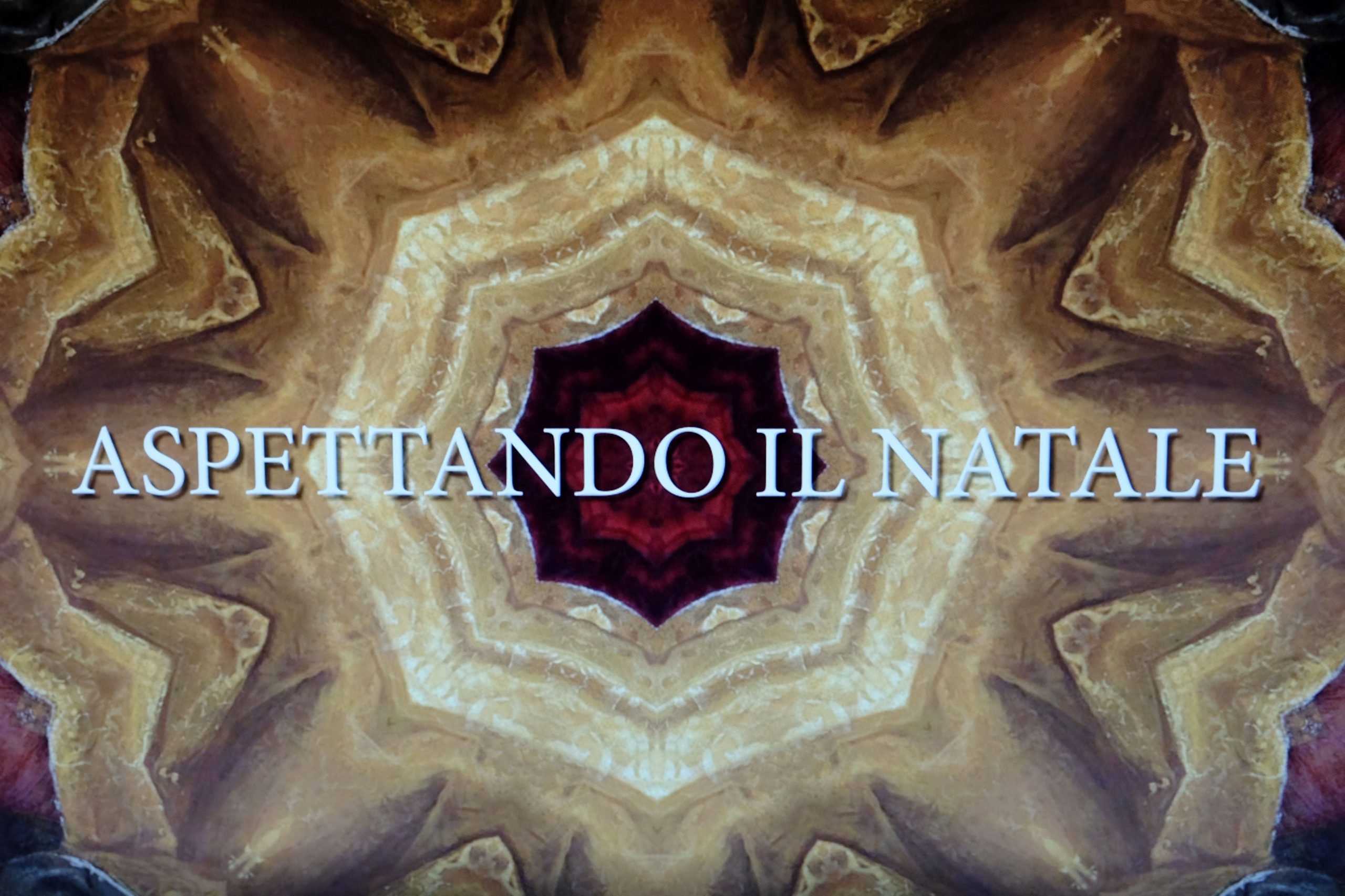 Tutte le date della “scuola aperta” del Polo Liceale “Piero della Francesca”