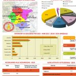 vigili del fuoco – dati attività 2019