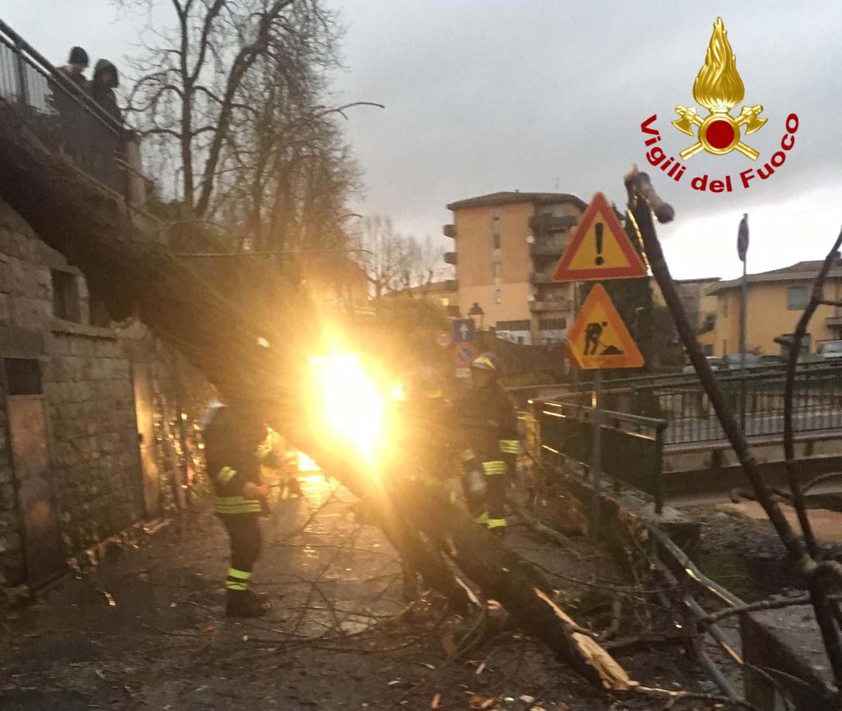 Due interventi dei vigili del fuoco a Montevarchi per piante cadute