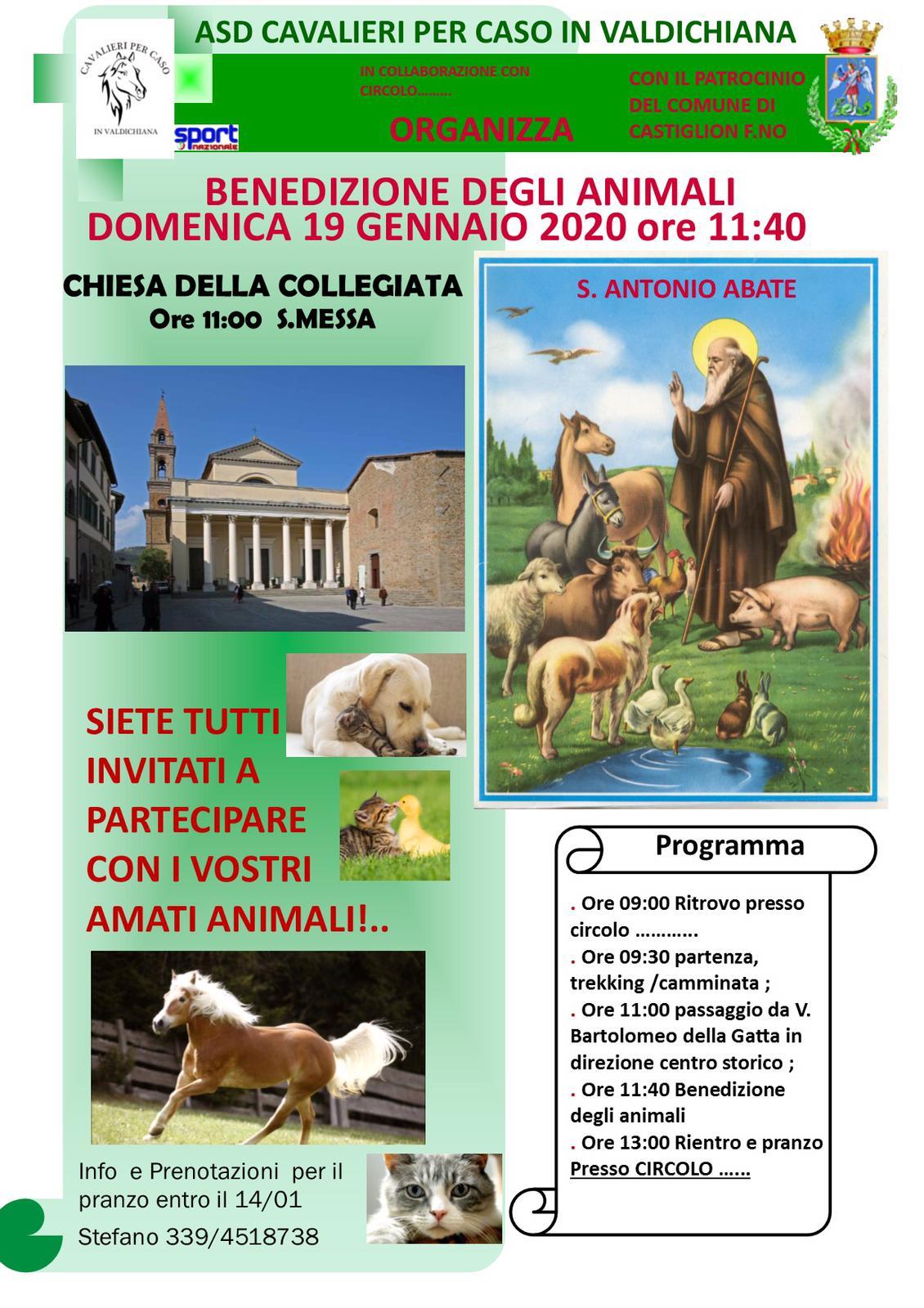 Benedizione degli animali: Domenica 19 gennaio alla Chiesa della Collegiata