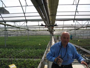 A Subbiano un convegno su “l’olio per la nostra salute e l’olivo per un’economia e il paesaggio toscano”