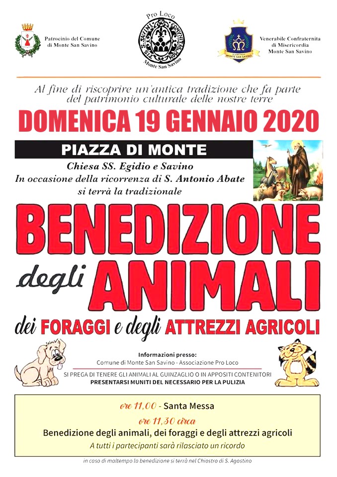 Torna a Monte San Savino la “Benedizione degli Animali” Torna a Monte San Savino la “Benedizione degli Animali”