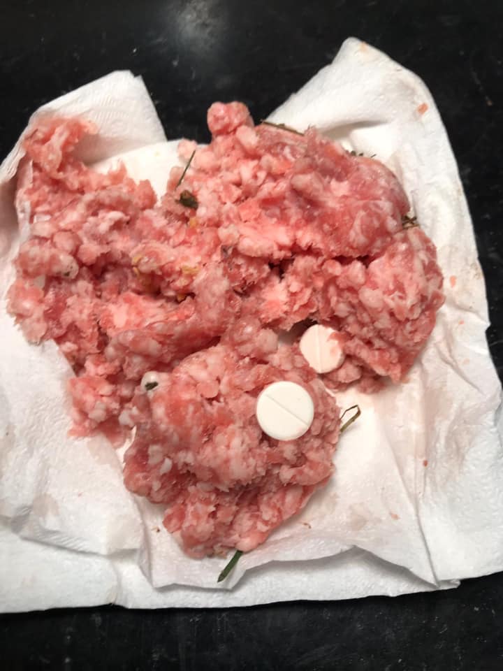 Polpette avvelenate alla Marchionna. Gettate in un giardino, cane salvo per miracolo Polpette avvelenate alla Marchionna. Gettate in un giardino, cane salvo per miracolo