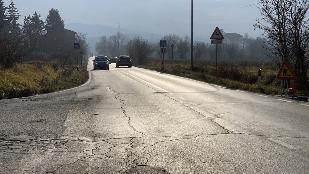 Strada della Catona, i residenti: “scarsa illuminazione, senza marciapiedi, auto a tutto gas e animali selvatici”