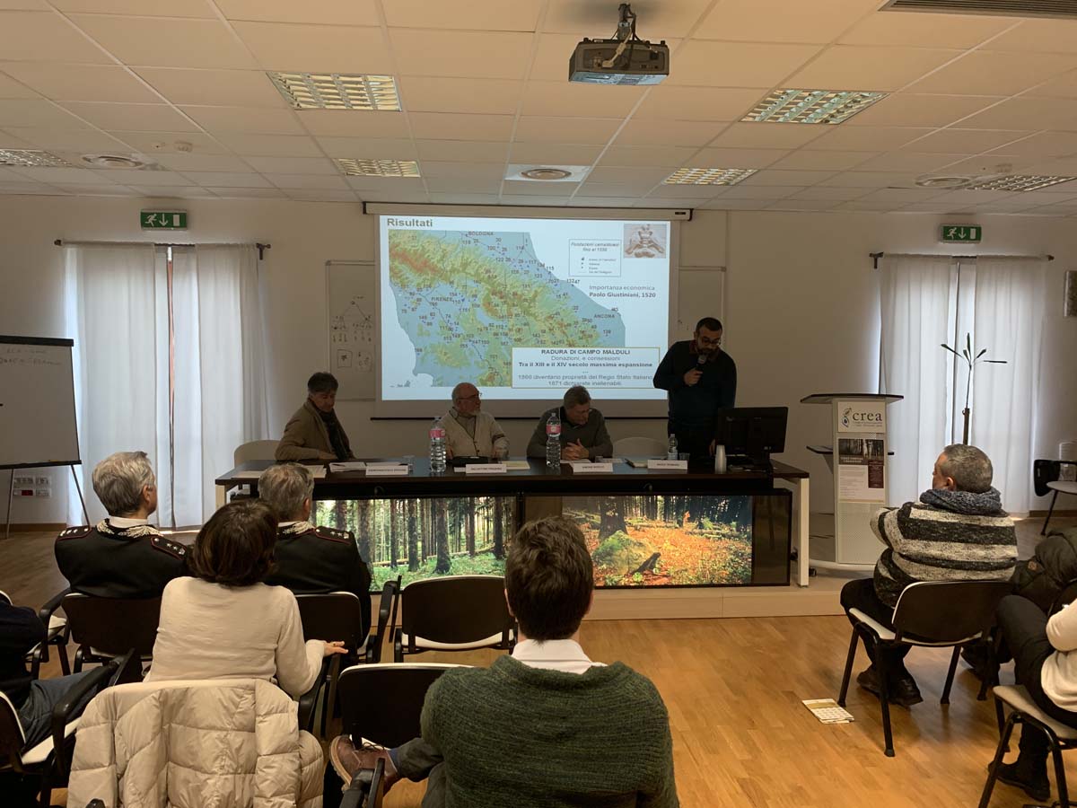 Codice Forestale Camaldolese: verso il riconoscimento a Bene Immateriale Universale UNESCO. Le interviste