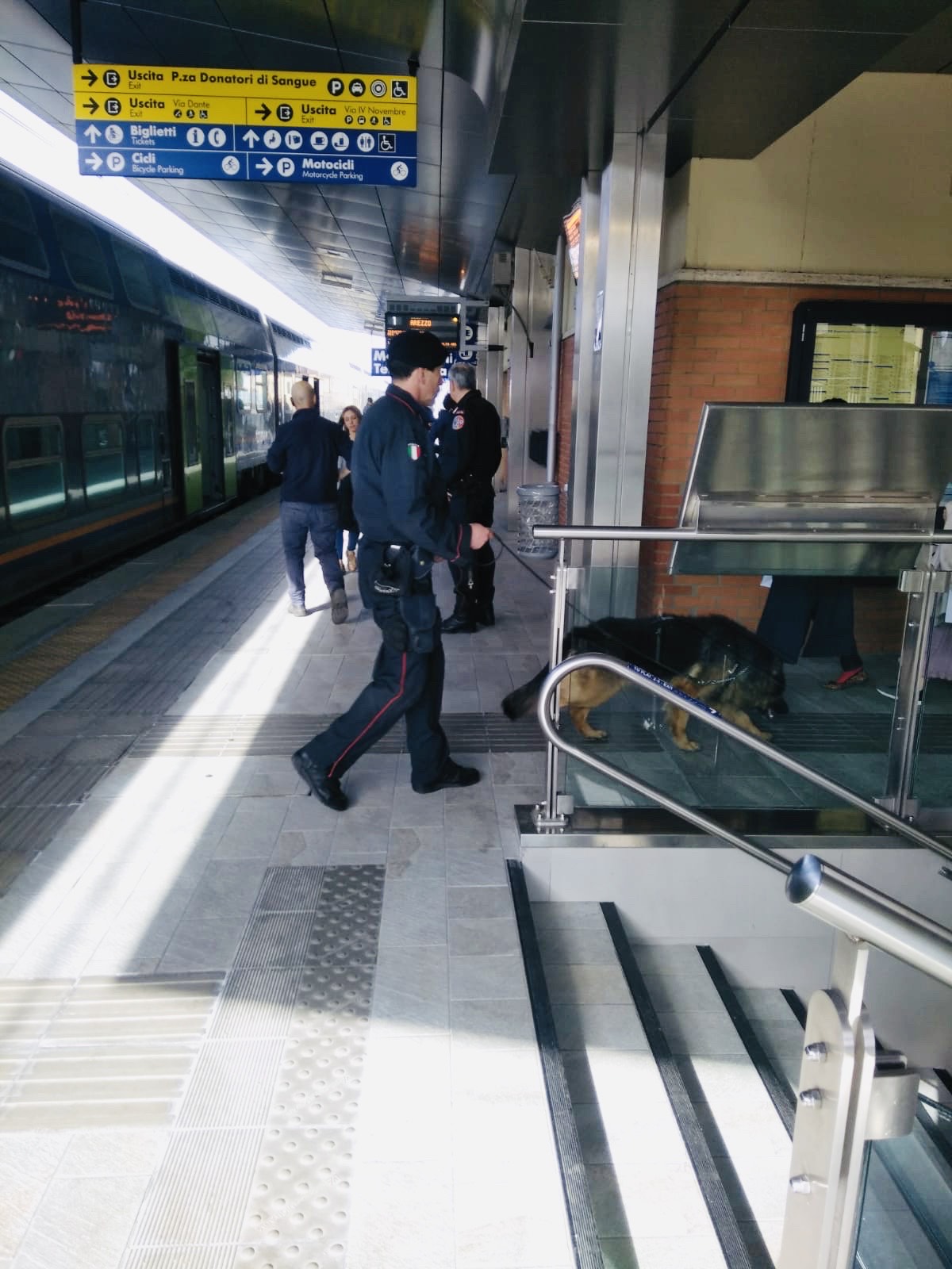Blitz di carabinieri e unità cinofile nelle scuole, trovata droga nascosta nei bagni. Controlli anche alla stazione