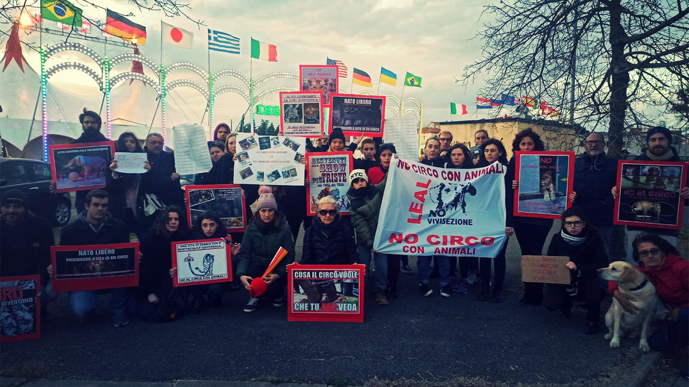 Momenti di tensione oggi ad Arezzo durante la protesta  davanti al Circo 