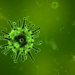 ricerca-virus-coronavirus-virus-laboratorio-batteri