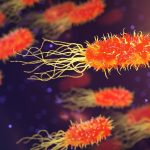 ricerca-virus-coronavirus-virus-laboratorio-batteri