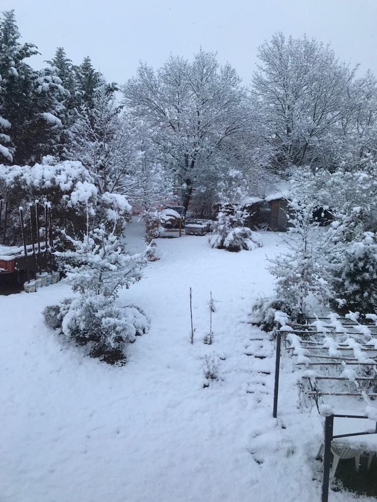Ancora codice giallo per neve e vento forte
