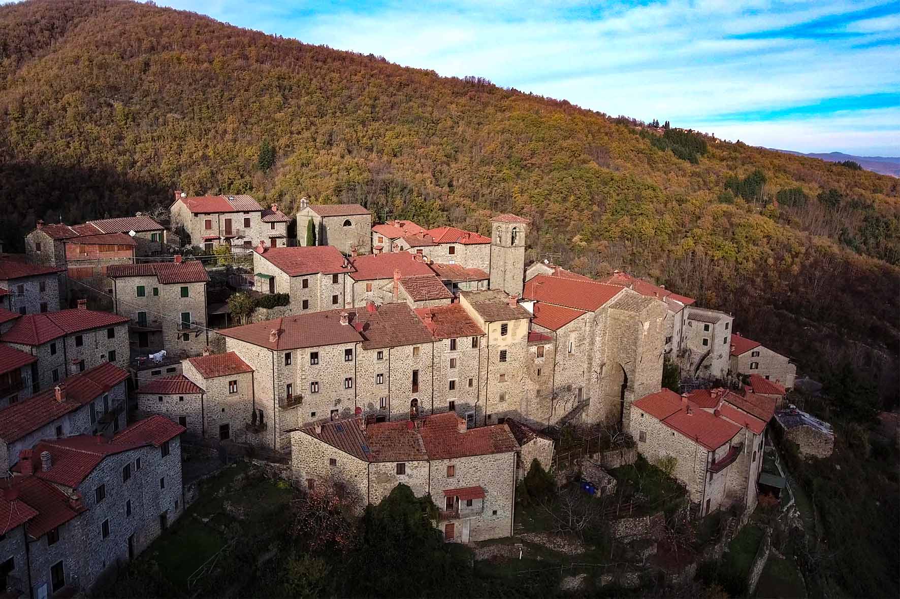 Castanicoltura in Casentino, in arrivo il convegno a Raggiolo