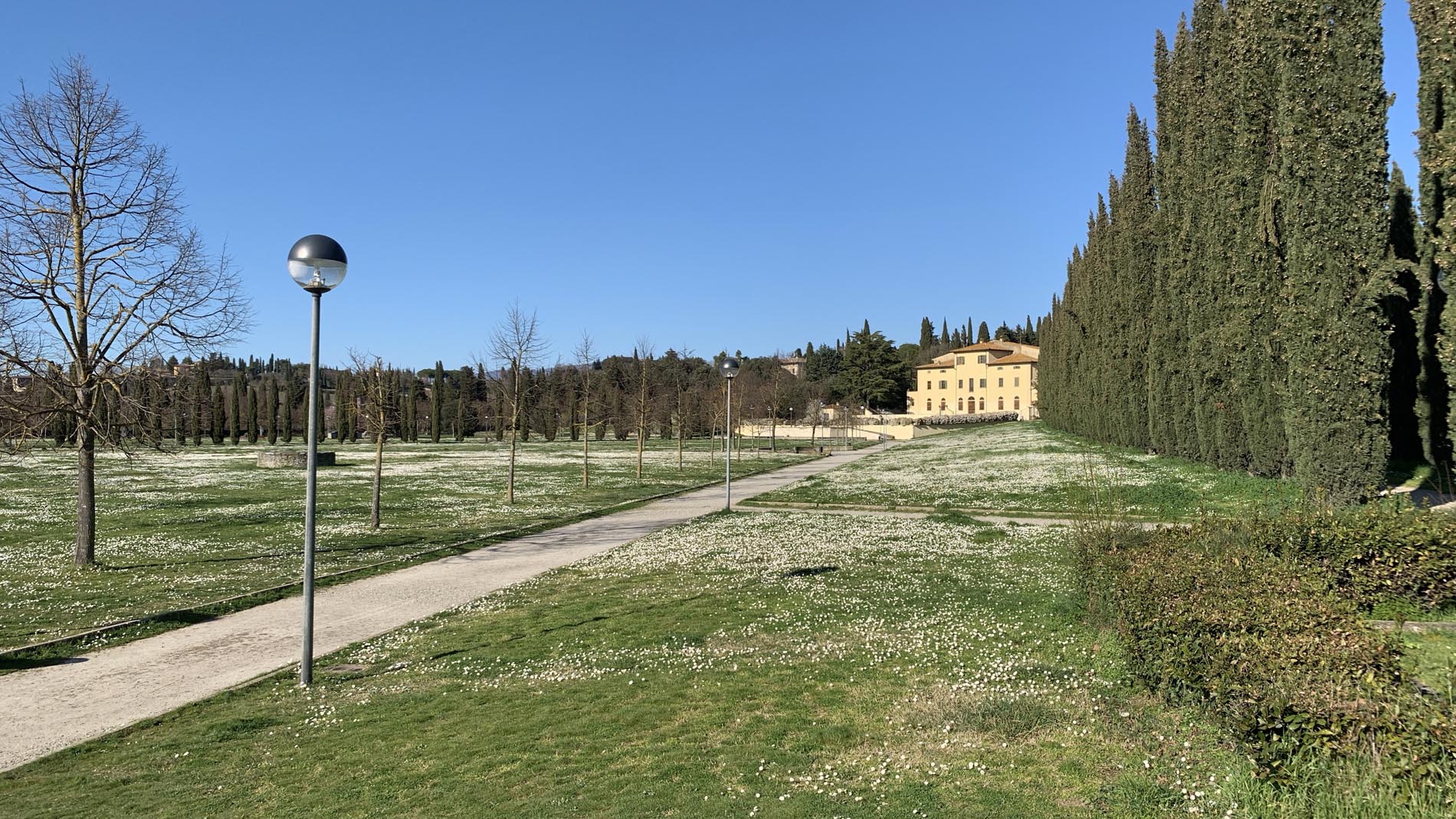 Arezzo: cagnolina uccisa dal pitbull, denunciata la proprietaria del cane aggressivo