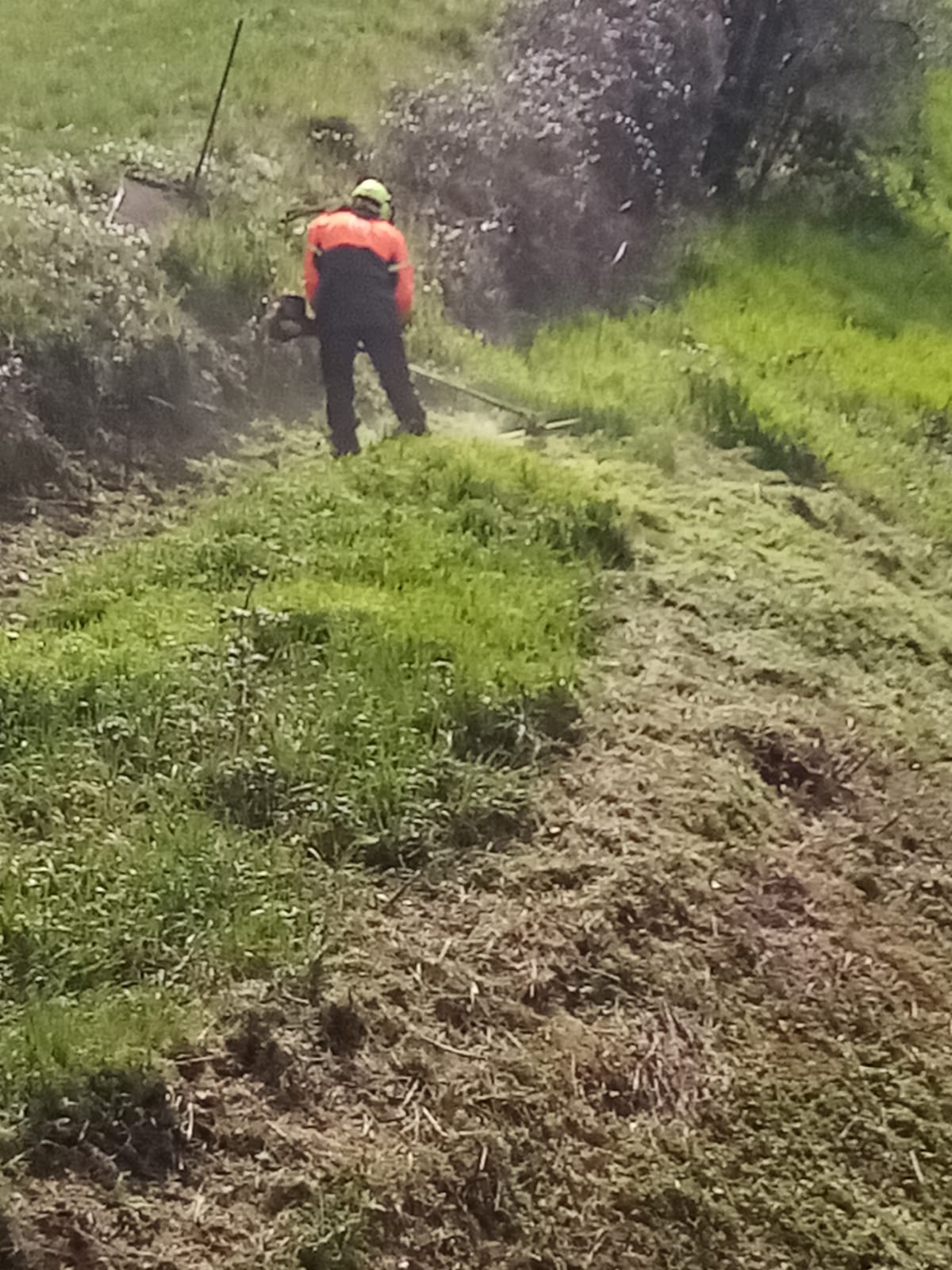 Consorzio 2 Alto Valdarno: la Presidente ringrazia i suoi dipendenti