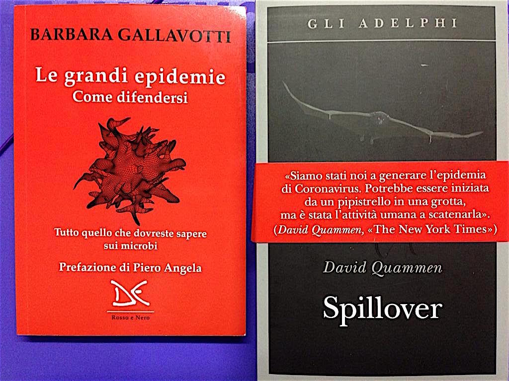 Consigli di lettura: Due testi diversi ma ottimi per capire quel che c’è piovuto addosso con la pandemia