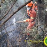incendio – rigutino – racchetta