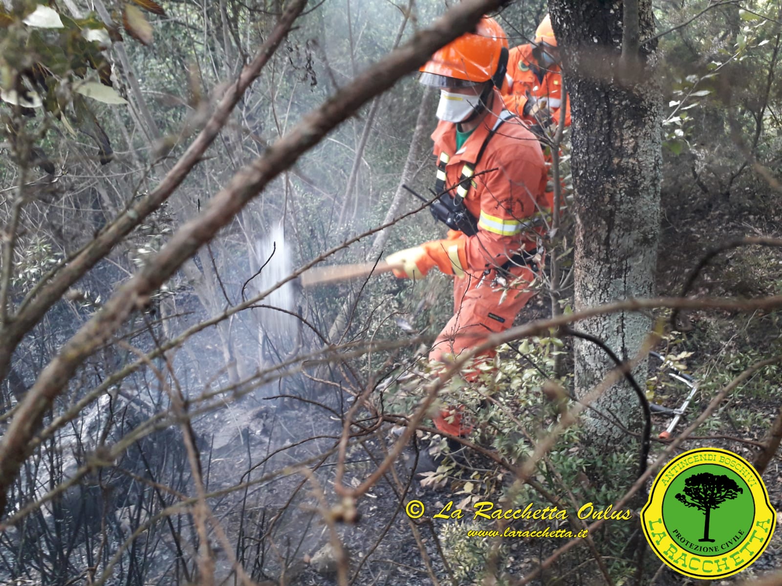 Sassaia di Rigutino, in fiamme due ettari di oliveto e sottobosco. Anche legname e annesso agricolo