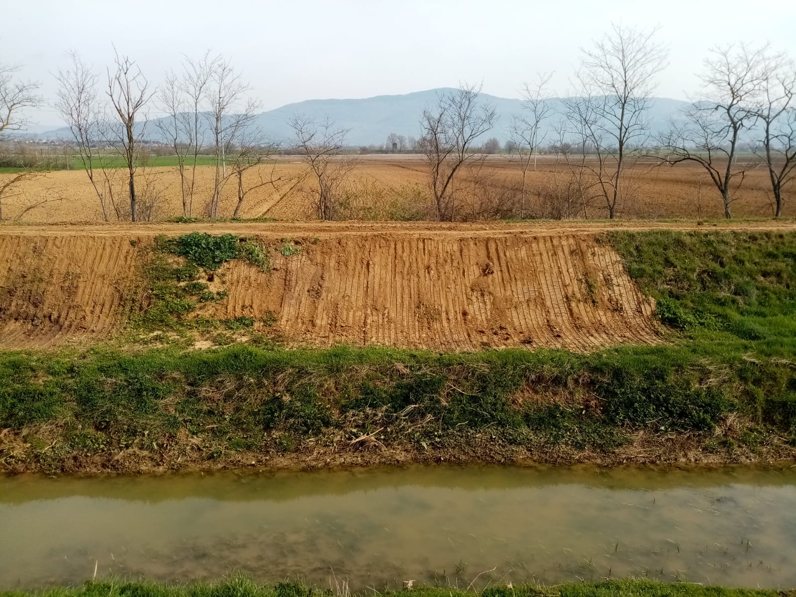 Cortona: concluso l’intervento del CB2 sul Mucchia. Curate le “ferite” del torrente ma gia’ si teme il nuovo blitz delle nutrie
