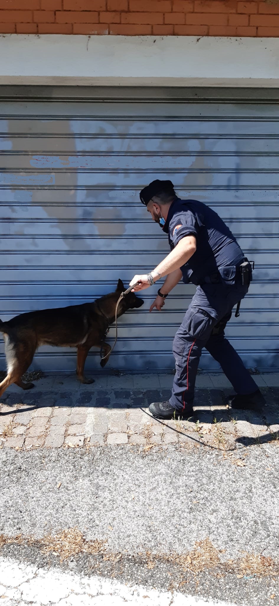 Droga nella legnaia e 3mila euro tra le pagine de “I Promessi Sposi”, arrestato 28enne