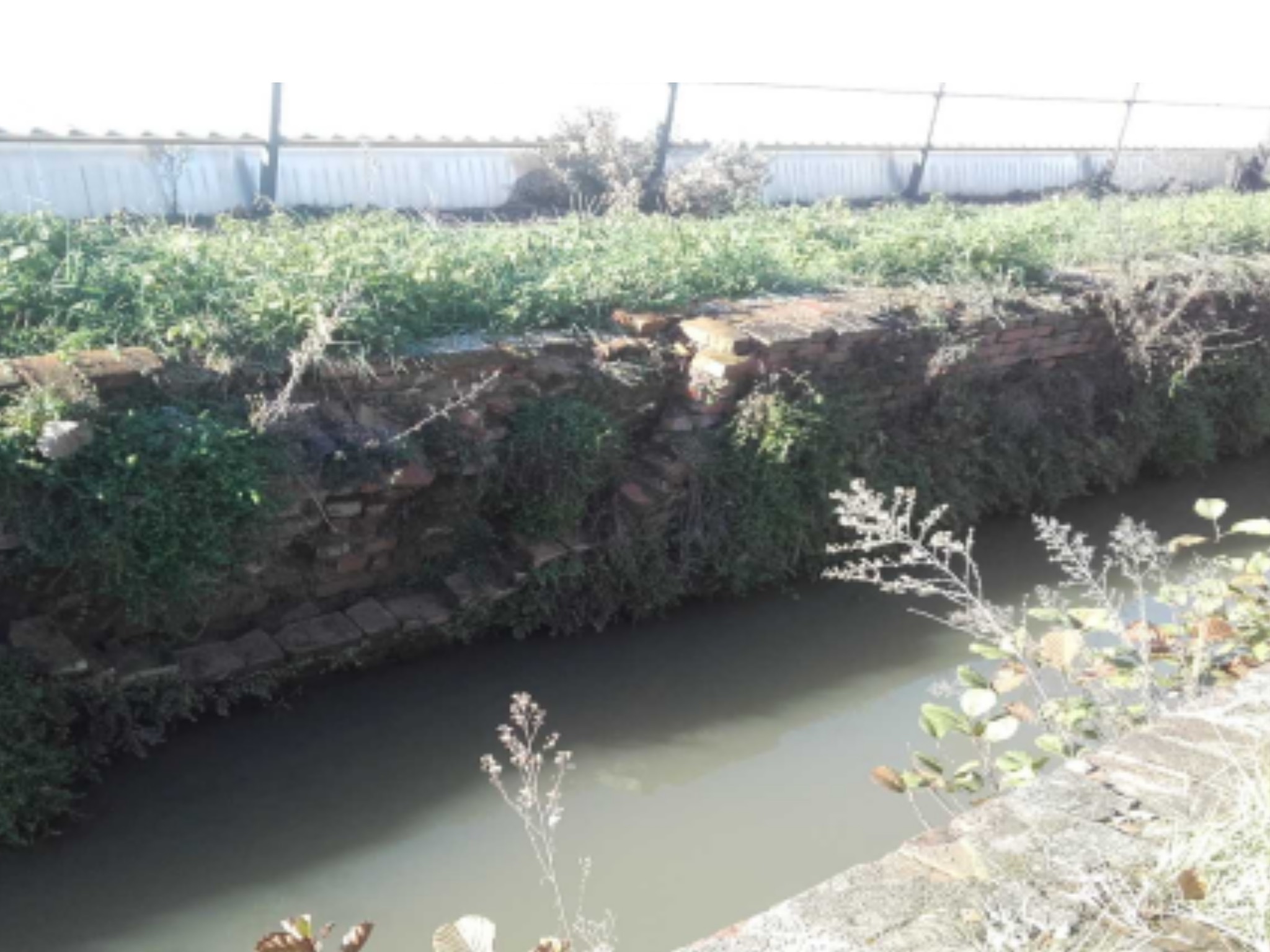 Montevarchi, interventi di manutenzione lungo il canale Battagli