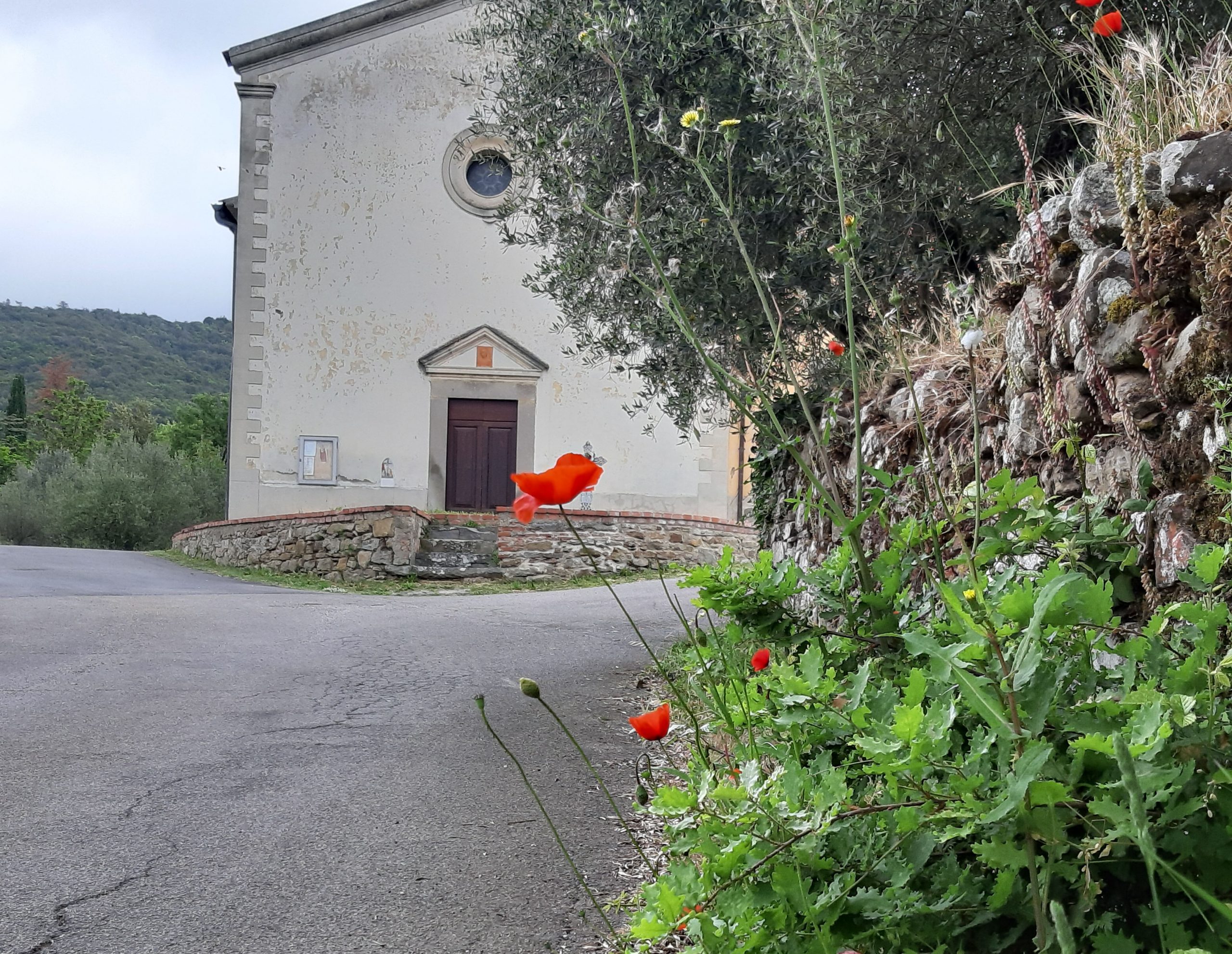 Festa dei Campi a Castiglion Fiorentino