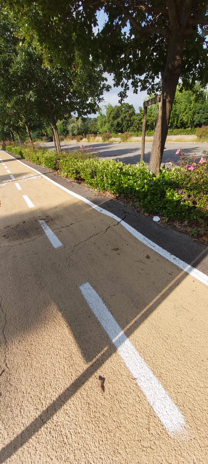 Daniele Farsetti: “La nuova pista ciclabile di via Maiano esempio di sciattezza ammnistrativa”