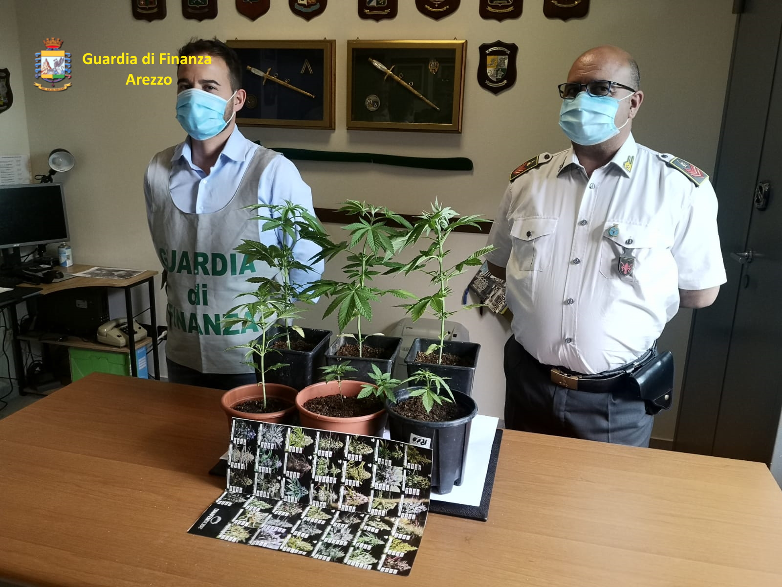 Piantagione di marijuana dentro casa, due nei guai