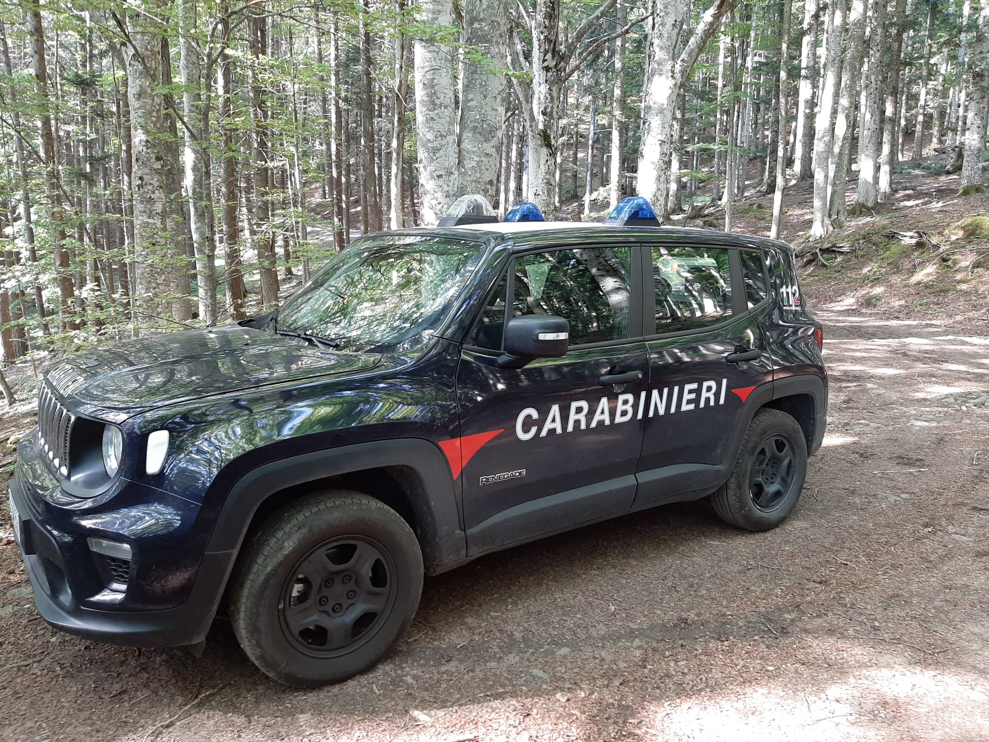 San Giovanni Valdarno: scuola del Doccio, sopralluogo dei carabinieri forestali